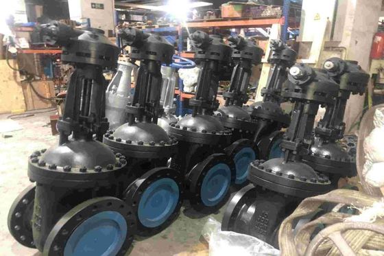 Επικοινωνιακές λύσεις Globe Steel Valve για εμπορική χρήση