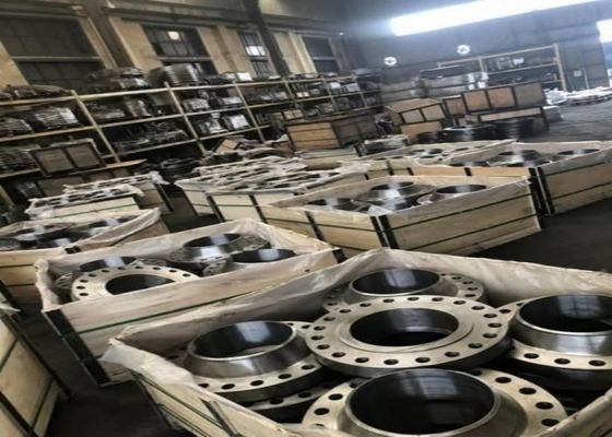 Διάταξη 600 Σιδηροειδή φλάντζες ανθεκτικές σε χημικές ουσίες για βαριές βιομηχανικές εφαρμογές