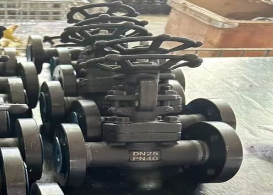 1/2 ίντσες βαλβίδες από χάλυβα με σιδερωμένο καπό στυλ σώματος και ODM προσαρμοσμένη υποστήριξη