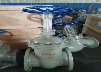 Εγχειριτική βαλβίδα πεταλούδας από ανοξείδωτο χάλυβα DN10-DN50