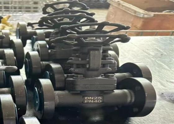 Εγχειριτική βαλβίδα ατσάλινης πύλης με μπουλτούκι DN10-DN50 150lb-1500lb Υψηλή αντοχή στη διάβρωση