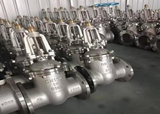 API Standard Steel Gate Valve with Manual Operation and Bolted Bonnet for Harsh Industrial Environments